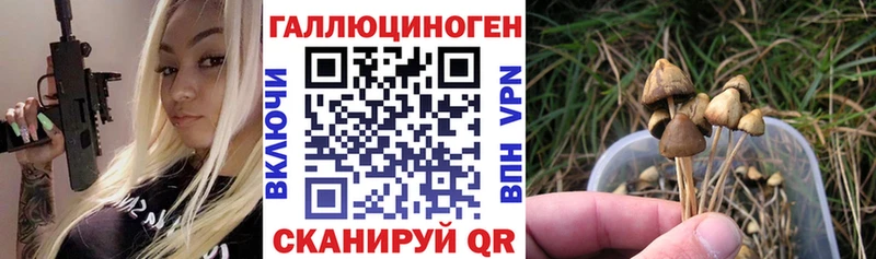 Псилоцибиновые грибы прущие грибы  omg маркетплейс  Абинск  где продают  